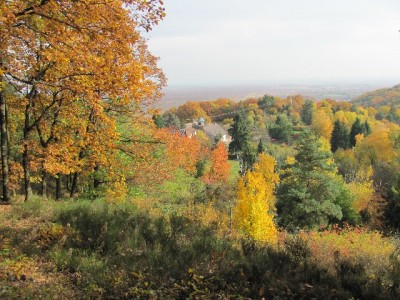 Blick vom Abraham-Straus-Platz auf den Mundhardter Hof.jpg