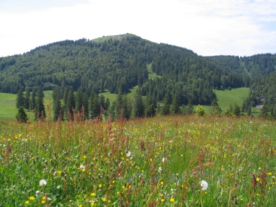 Herzogenhorn von Süden aus betrachtet