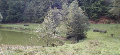 Letterbox - Waldpicknick