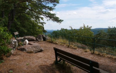 Auf dem Rothenberg