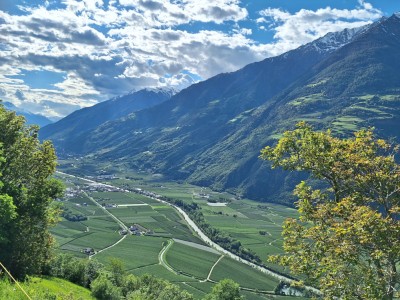 Aussicht vom Platzgangel.jpg