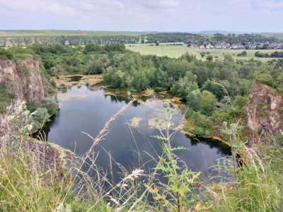 Blick auf den ehemaligen Steinbruch.jpg