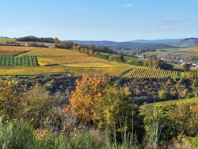 Blick auf Schloßböckelheim 1.jpg